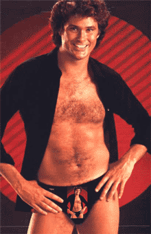 hasselhoff.jpg